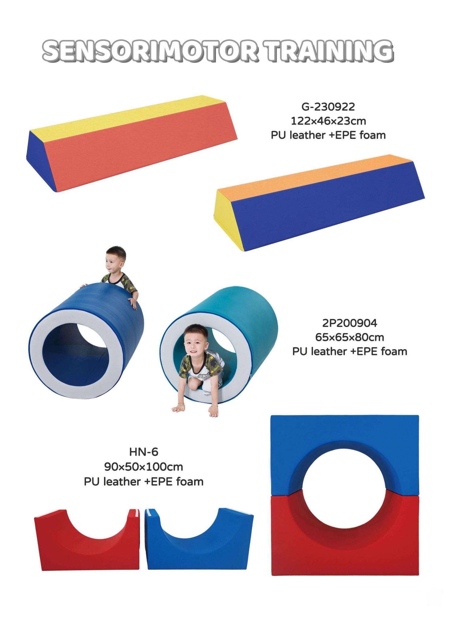 sensory motor training (2)